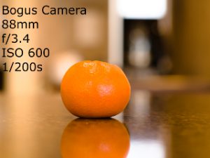 Bogus Camera